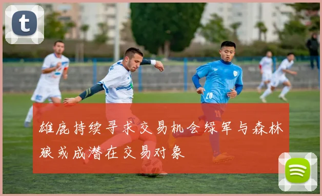 雄鹿持续寻求交易机会绿军与森林狼或成潜在交易对象
